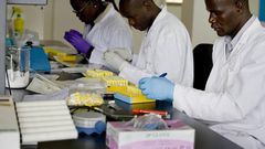 Investment in science and innovation is needed to help build Africa