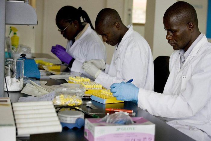 Investment in science and innovation is needed to help build Africa