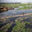 A raft of logs in the Lagos lagoon where wood, a form of biomass, is the sole source of energy for many who don’t have access to power.