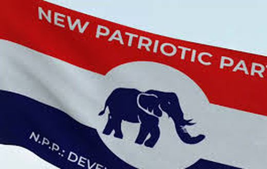 16 NPP Officials Sanctioned for Misconduct in Upper East