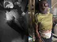 Tempane MP demands urgent probe into shooting of GIS officers and military brutality