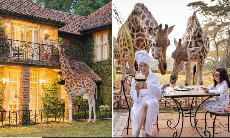 Giraffe Manor – Kenya