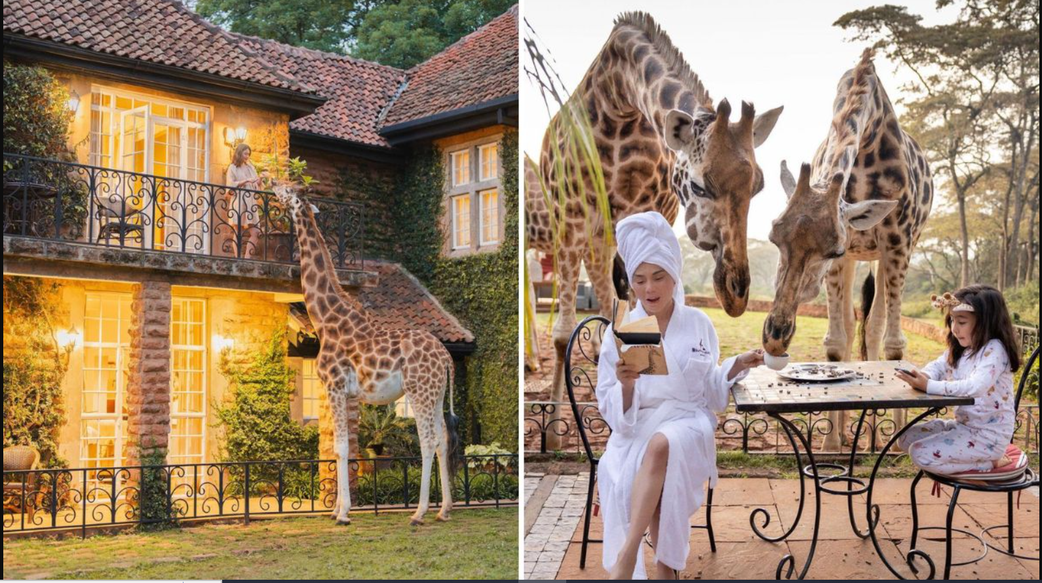 7 bizarre hotels you won’t believe exist – Would you stay in one?