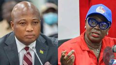 Samuel Okudzeto Ablakwa and Ellen Daaku