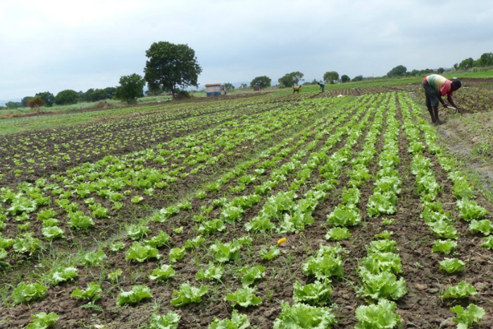 ___4325377___https:______static.pulse.com.gh___webservice___escenic___binary___4325377___2015___11___4___12___P1030544