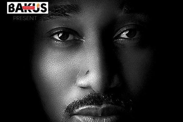 ___4357523___https:______static.pulse.com.gh___webservice___escenic___binary___4357523___2015___11___13___20___Quata+-+Wind+N+Go+Low