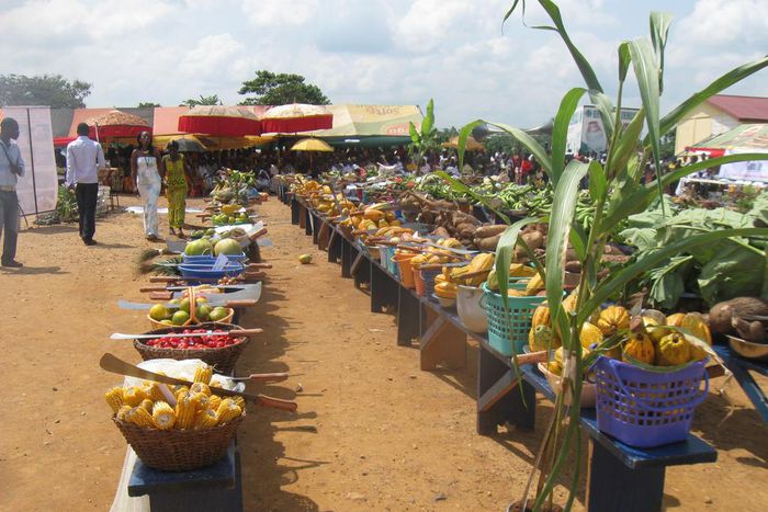___4321297___https:______static.pulse.com.gh___webservice___escenic___binary___4321297___2015___11___3___12___2010_FarmersDay_AshantiRegion_Ghana_5262946799