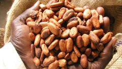 ___4449843___https:______static.pulse.com.gh___webservice___escenic___binary___4449843___2015___12___10___16___b869f76bdc8708f3cbd5f006f5be1207-L-620x330