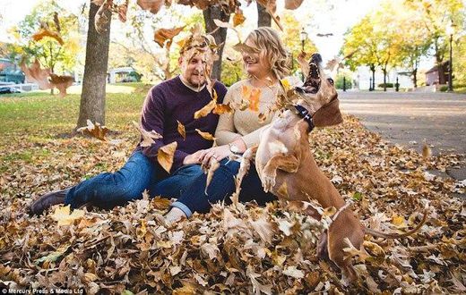 The hilarious engagement snaps have gone viral online, turning Louie into an internet star