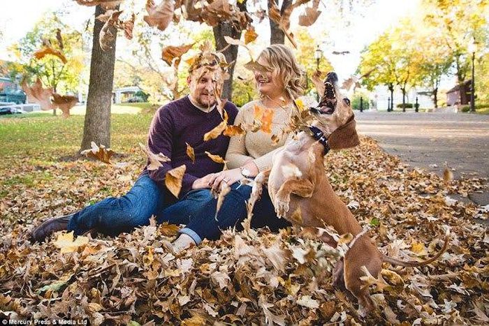The hilarious engagement snaps have gone viral online, turning Louie into an internet star