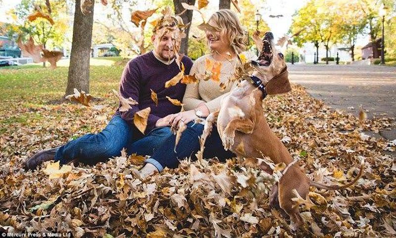 The hilarious engagement snaps have gone viral online, turning Louie into an internet star