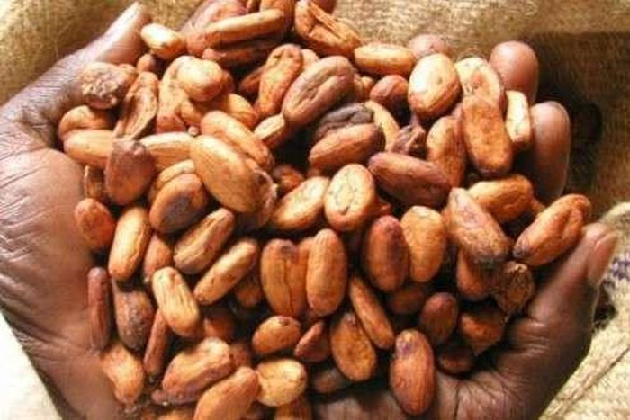 ___4462825___https:______static.pulse.com.gh___webservice___escenic___binary___4462825___2015___12___14___17___b869f76bdc8708f3cbd5f006f5be1207-L-620x330