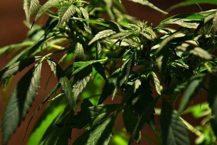 ___4490520___https:______static.pulse.com.gh___webservice___escenic___binary___4490520___2015___12___23___10____87349632_87349631