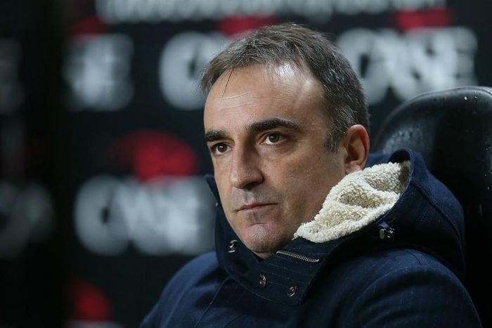 ___4492163___https:______static.pulse.com.gh___webservice___escenic___binary___4492163___2015___12___23___19___carloscarvalhal-cropped_hqvu3m8pt3us11mr3z0hwm6ma_1