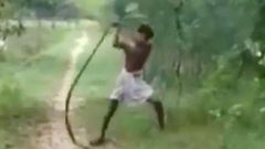 ___4440392___https:______static.pulse.com.gh___webservice___escenic___binary___4440392___2015___12___8___15___Father-attacks-a-King-Cobra-with-his-bare-hands-after-it-bites-his-son