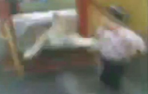 Attack: Blurry footage show the lion snatch at the child's coat
