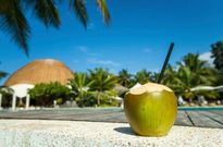 Coconut water helps regulate human blood pressure --- Nutritionist