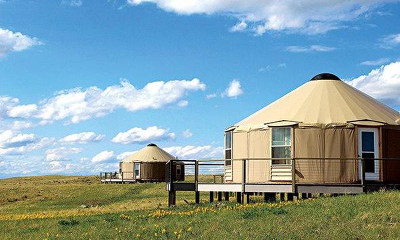 Kestrel Camp, Montana.