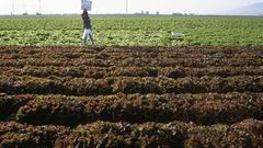 Influx of adulterated fertilizers affecting farmers' produce