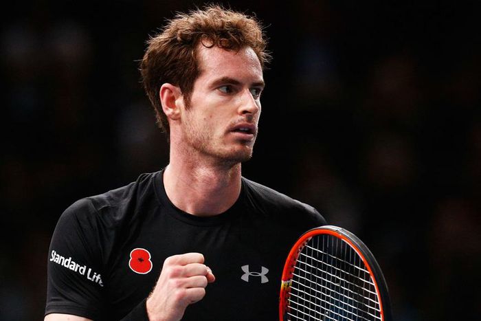 ___4510844___https:______static.pulse.com.gh___webservice___escenic___binary___4510844___2015___12___31___13___andymurray-cropped_1a5i3u0jy3rg8150df4so3q8ky_2