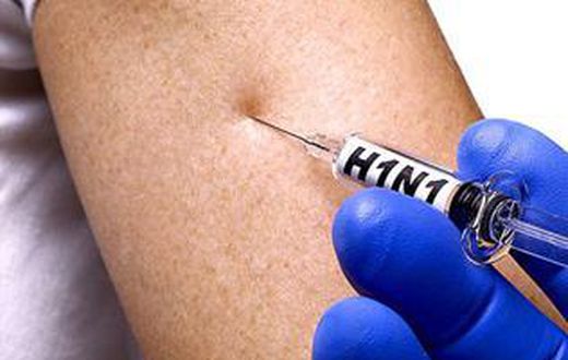 H1N1 outbreak kills 33 in Iran---Minister