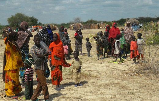 Desperate Nigerians fleeing Boko Haram arriving on deserted island in Chad