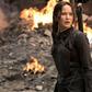 ___4325512___https:______static.pulse.com.gh___webservice___escenic___binary___4325512___2015___11___4___13___Hunger+Games+Theme+Park_1