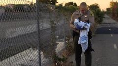 Newborn baby buried alive under road construction bitumen
