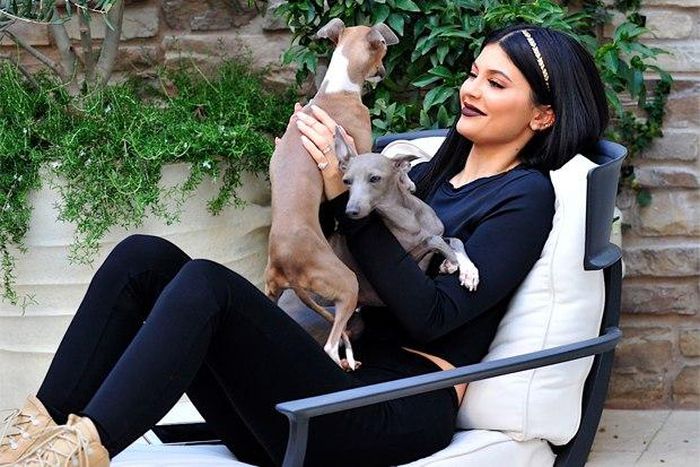 Kylie Jenner plays with her dogs