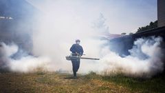 ___4385768___https:______static.pulse.com.gh___webservice___escenic___binary___4385768___2015___11___23___14___Fumigation