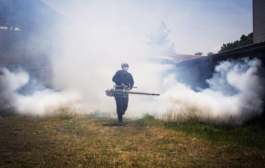 ___4385768___https:______static.pulse.com.gh___webservice___escenic___binary___4385768___2015___11___23___14___Fumigation