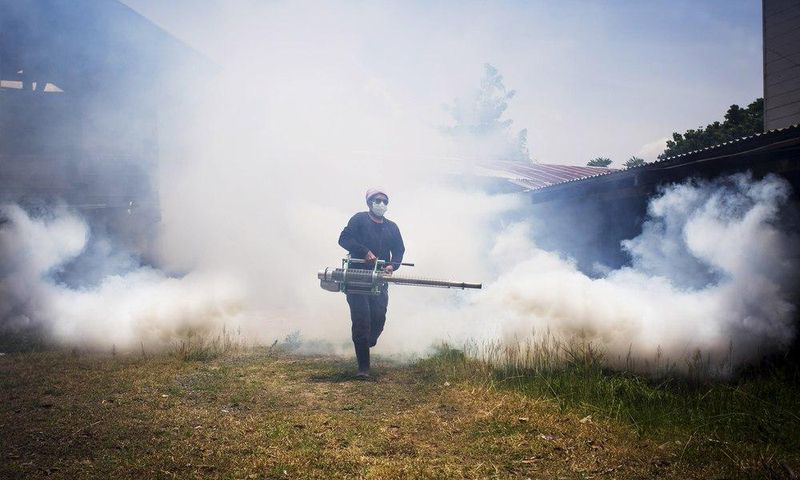 ___4385768___https:______static.pulse.com.gh___webservice___escenic___binary___4385768___2015___11___23___14___Fumigation