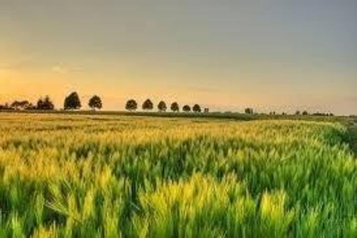 ___4436545___https:______static.pulse.com.gh___webservice___escenic___binary___4436545___2015___12___7___15___a_1