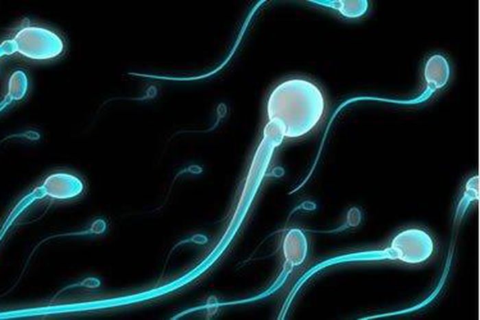 ___4446934___https:______static.pulse.com.gh___webservice___escenic___binary___4446934___2015___12___10___8___945821461_571716