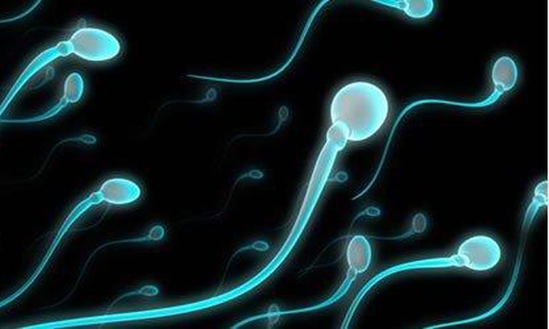 ___4446934___https:______static.pulse.com.gh___webservice___escenic___binary___4446934___2015___12___10___8___945821461_571716