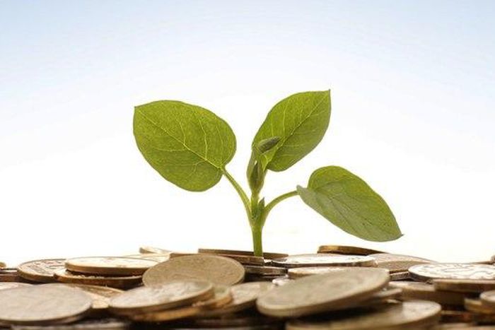 ___4509216___https:______static.pulse.com.gh___webservice___escenic___binary___4509216___2015___12___30___16___funding-capital