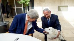 Israeli PM's dog bites political visitors