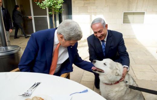 Israeli PM's dog bites political visitors