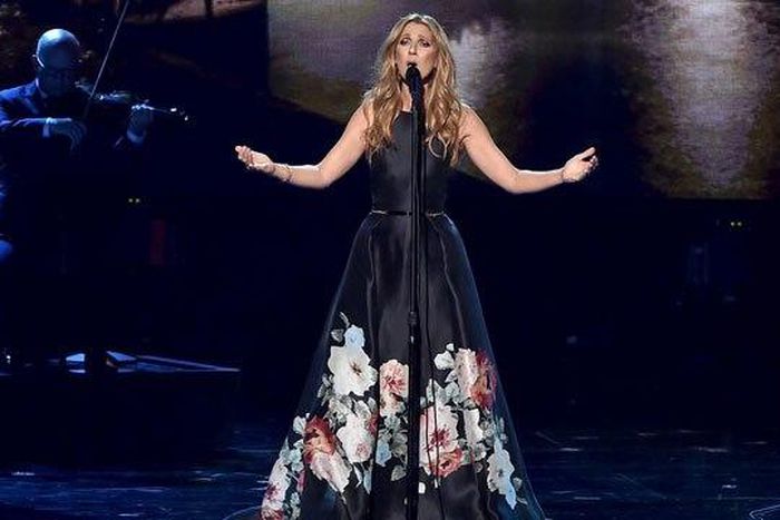 Celine Dion makes audience cry during moving performance for Paris victims at 2015 AMA