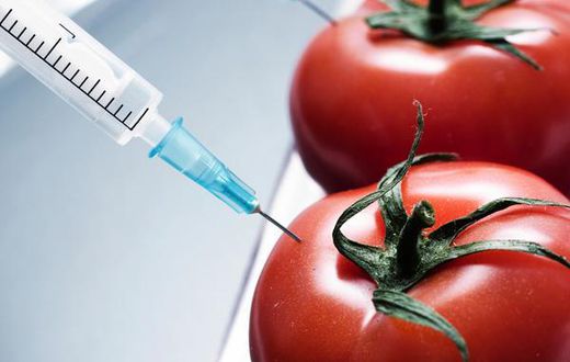 ___3535575___https:______static.pulse.com.gh___webservice___escenic___binary___3535575___2015___3___3___14___tomato