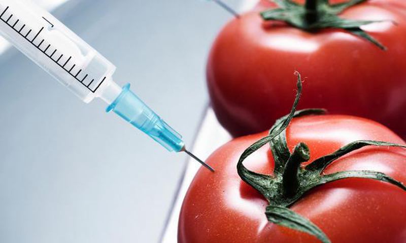 ___3535575___https:______static.pulse.com.gh___webservice___escenic___binary___3535575___2015___3___3___14___tomato
