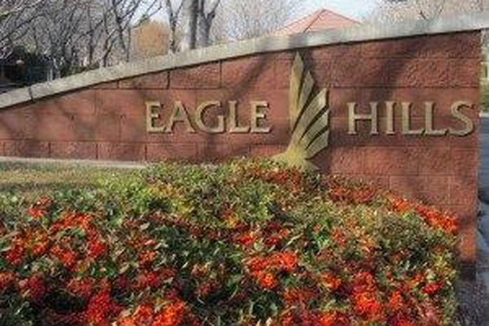 ___4376655___https:______static.pulse.com.gh___webservice___escenic___binary___4376655___2015___11___19___19___Eagle-Hills-entry-3-300x225