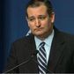 Republican Ted Cruz says California attack underscores 'We are at a time of war'