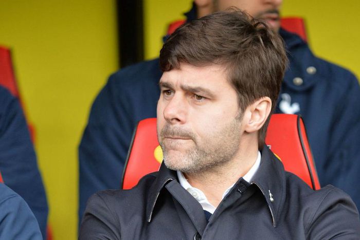 ___4503049___https:______static.pulse.com.gh___webservice___escenic___binary___4503049___2015___12___28___21___mauricio-pochettino-cropped_4ikcfyvzq0wp1tnt1piy5cx5q_1