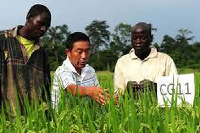 ___4386913___https:______static.pulse.com.gh___webservice___escenic___binary___4386913___2015___11___23___18___url