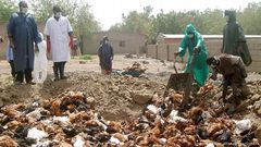 ___4318040___https:______static.pulse.com.gh___webservice___escenic___binary___4318040___2015___11___2___13___birdflu