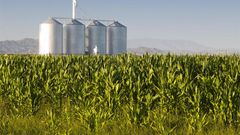 ___4311296___https:______static.pulse.com.gh___webservice___escenic___binary___4311296___2015___10___30___19___Agribusiness-Large