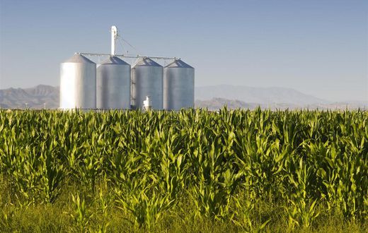 ___4311296___https:______static.pulse.com.gh___webservice___escenic___binary___4311296___2015___10___30___19___Agribusiness-Large