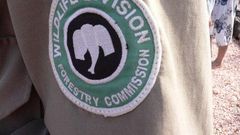 ___4318010___https:______static.pulse.com.gh___webservice___escenic___binary___4318010___2015___11___2___13___wildlife