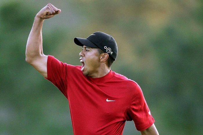 ___4509365___https:______static.pulse.com.gh___webservice___escenic___binary___4509365___2015___12___30___18___tiger-woods-cropped_1j1awv7b49qwz1rydmeg61vbgp_2